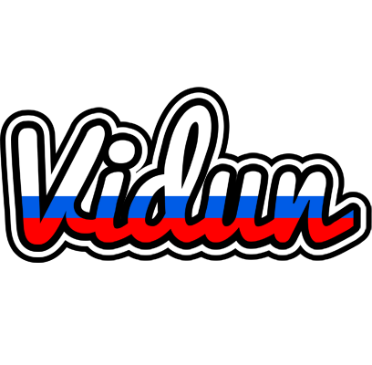 Vidun russia logo