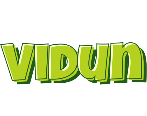 Vidun summer logo