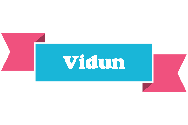 Vidun today logo