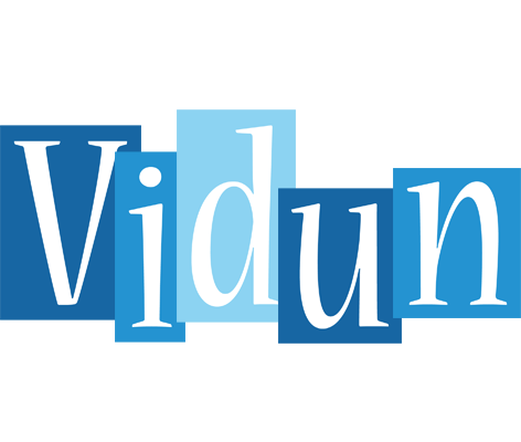 Vidun winter logo