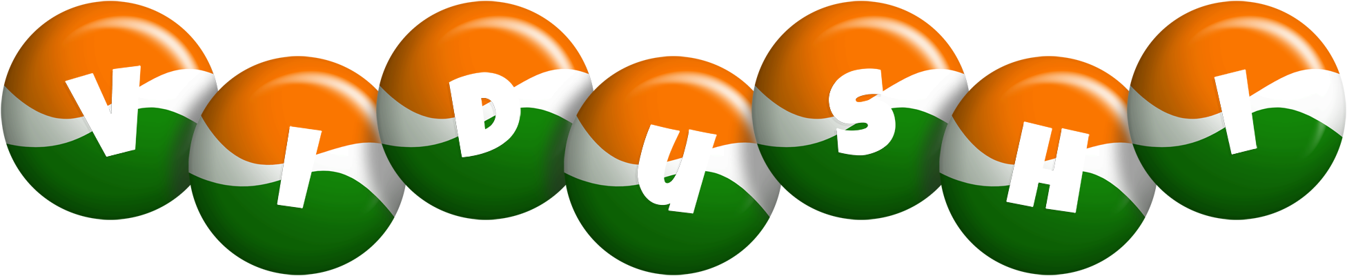 Vidushi india logo