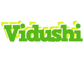 Vidushi picnic logo