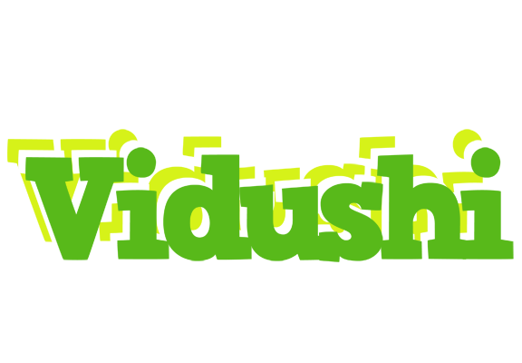 Vidushi picnic logo