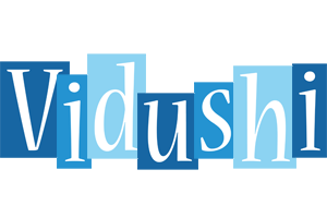Vidushi winter logo