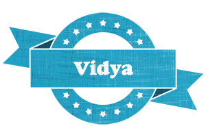 Vidya balance logo