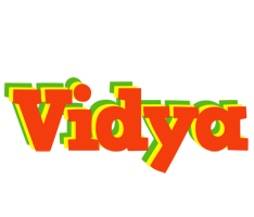 Vidya bbq logo