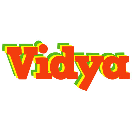 Vidya bbq logo