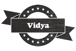 Vidya grunge logo