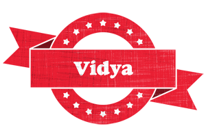 Vidya passion logo