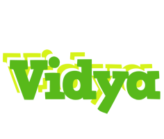 Vidya picnic logo