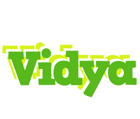 Vidya picnic logo