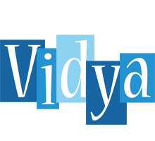 Vidya winter logo