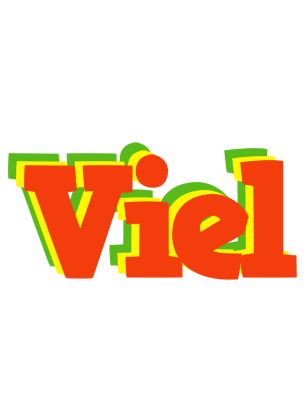 Viel bbq logo