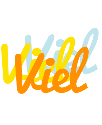 Viel energy logo