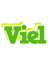 Viel picnic logo