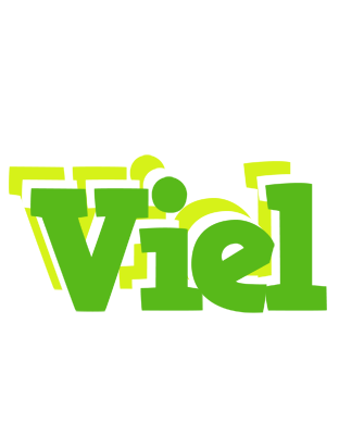 Viel picnic logo