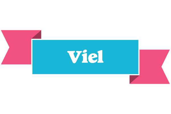 Viel today logo