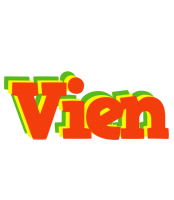 Vien bbq logo