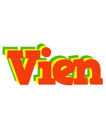 Vien bbq logo
