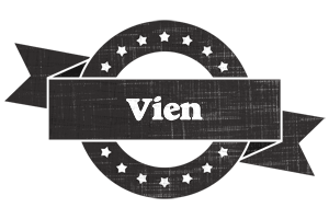 Vien grunge logo