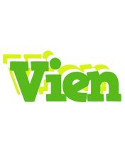 Vien picnic logo