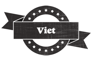 Viet grunge logo