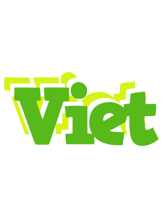 Viet picnic logo