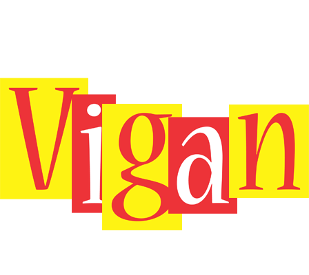 Vigan errors logo