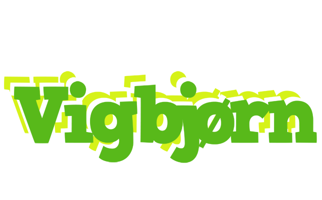 Vigbjørn picnic logo