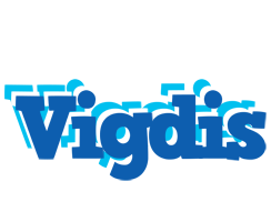 Vigdis business logo