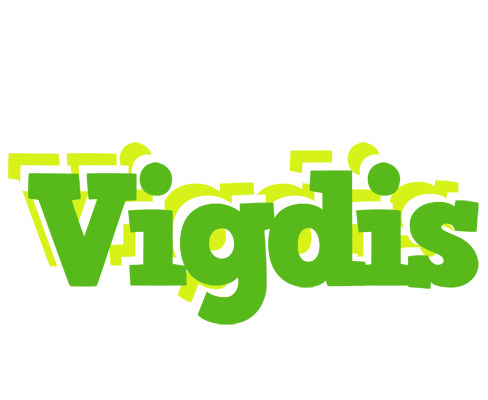 Vigdis picnic logo