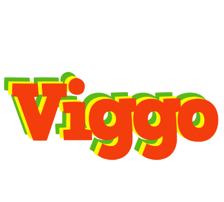 Viggo bbq logo