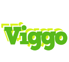 Viggo picnic logo