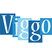 Viggo winter logo