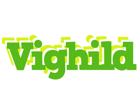Vighild picnic logo