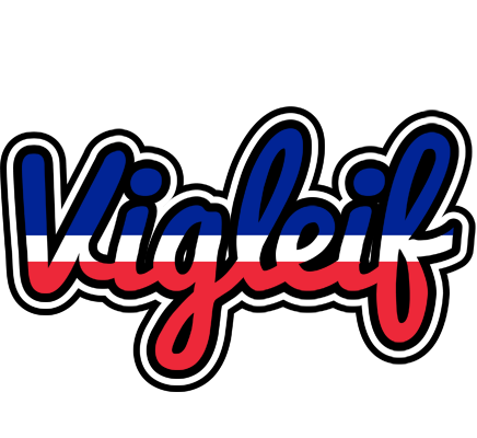 Vigleif france logo