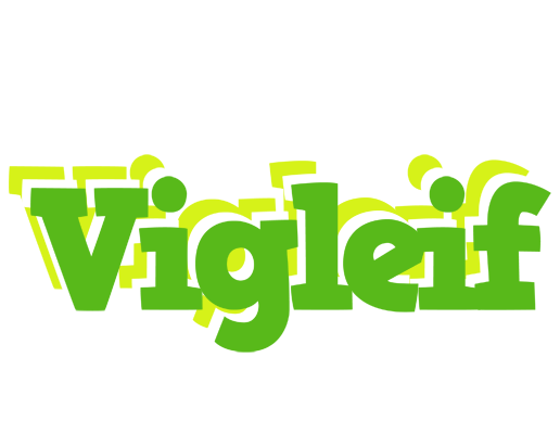 Vigleif picnic logo