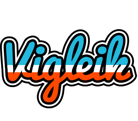 Vigleik america logo