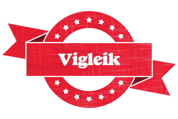 Vigleik passion logo