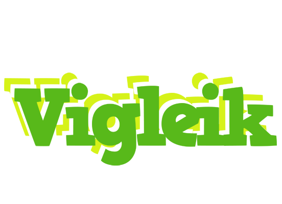 Vigleik picnic logo