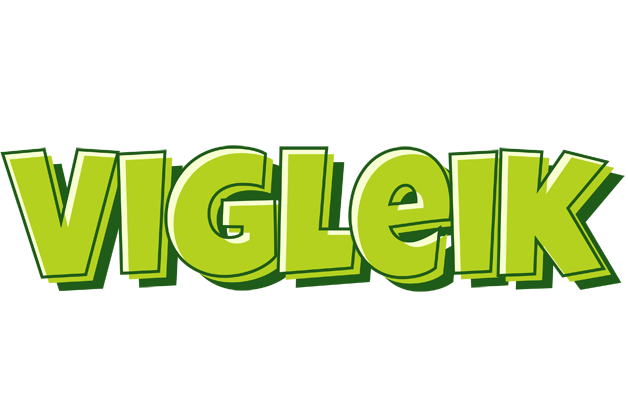 Vigleik summer logo