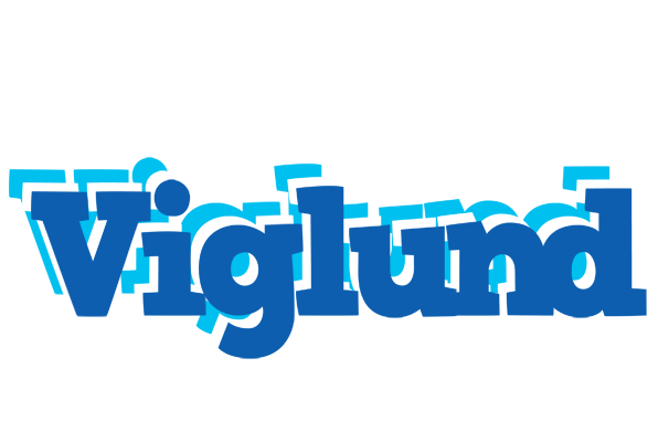 Viglund business logo