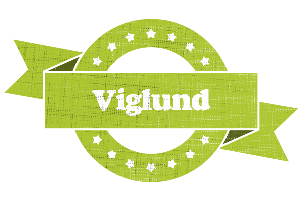 Viglund change logo