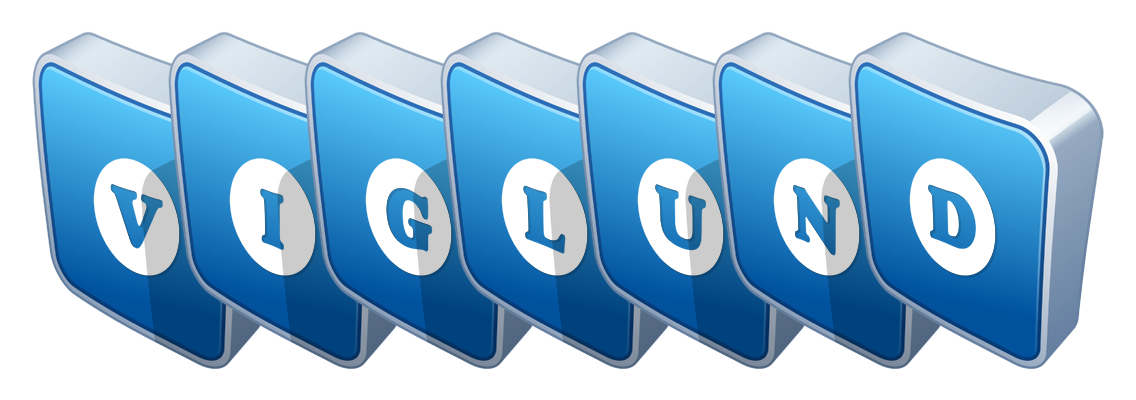 Viglund flippy logo