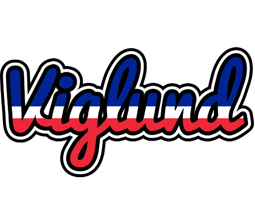 Viglund france logo