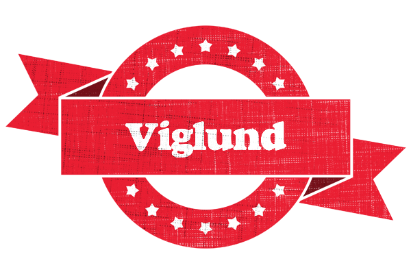 Viglund passion logo