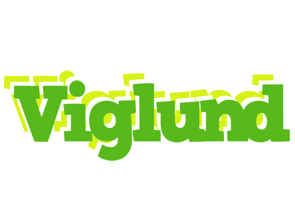 Viglund picnic logo