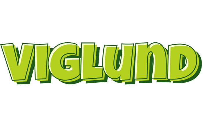 Viglund summer logo