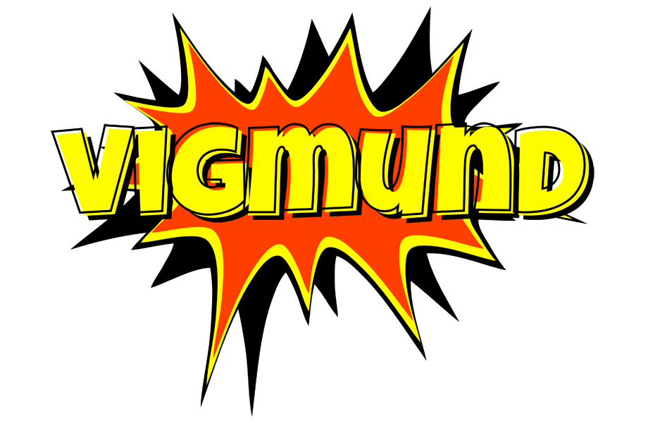 Vigmund bazinga logo