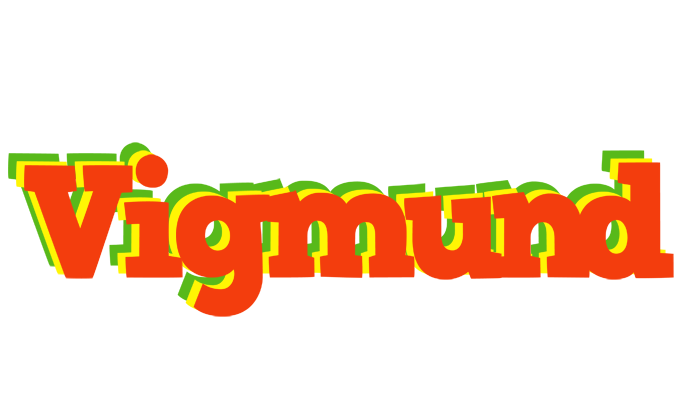 Vigmund bbq logo